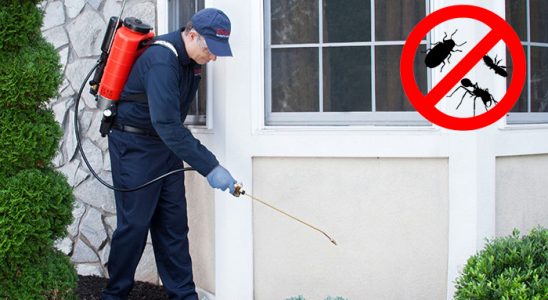 Büyükorhan Hamam Böceği İlaçlama böcek ilaçlama ve haşere kontrolü — ilaclama-tr.com
